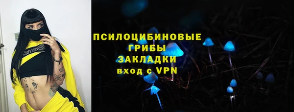 бутират Инта
