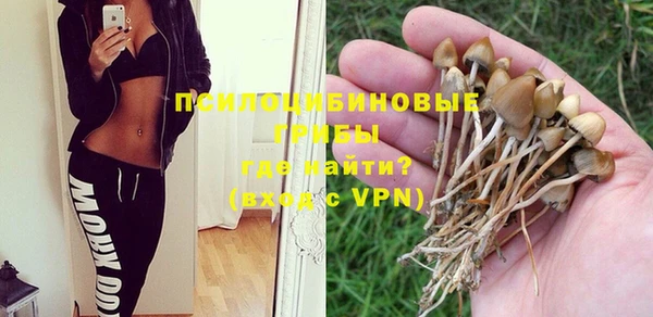марки lsd Инсар