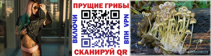 Галлюциногенные грибы мухоморы Томск