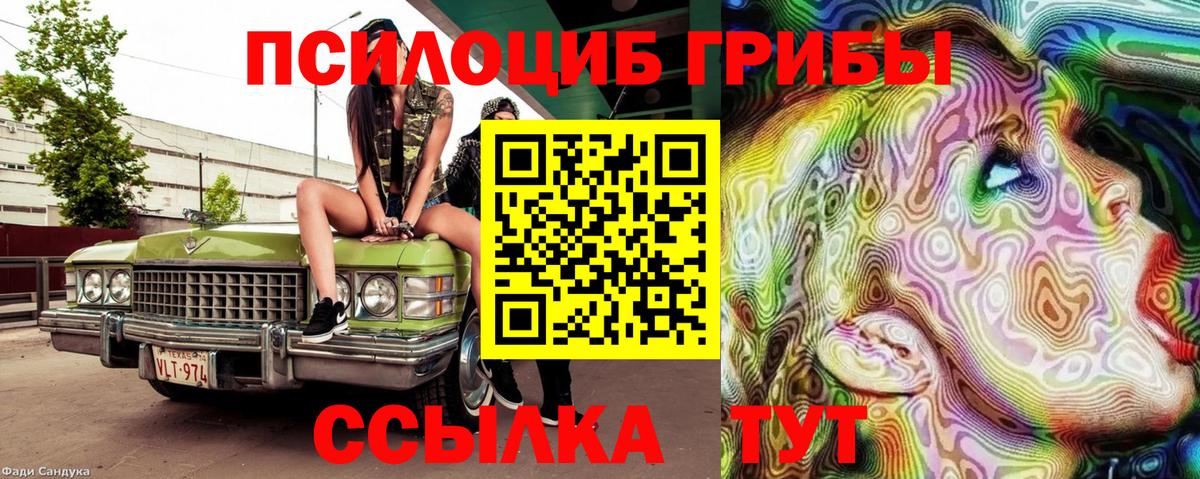Псилоцибиновые грибы Magic Shrooms Томск