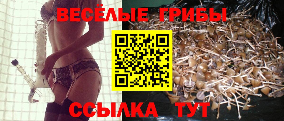 Томск  Псилоцибиновые грибы мицелий  Псилоцибиновые грибы Psilocybine cubensis  Вход с VPN 
